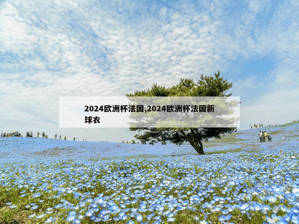 2024欧洲杯法国,2024欧洲杯法国新球衣