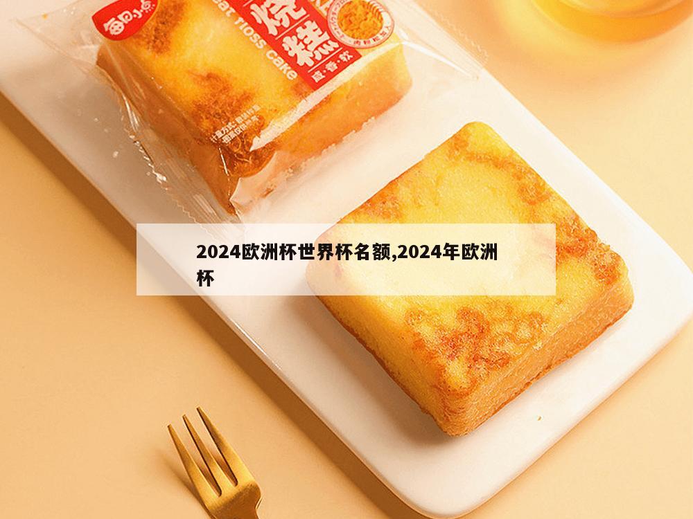 2024欧洲杯世界杯名额,2024年欧洲杯