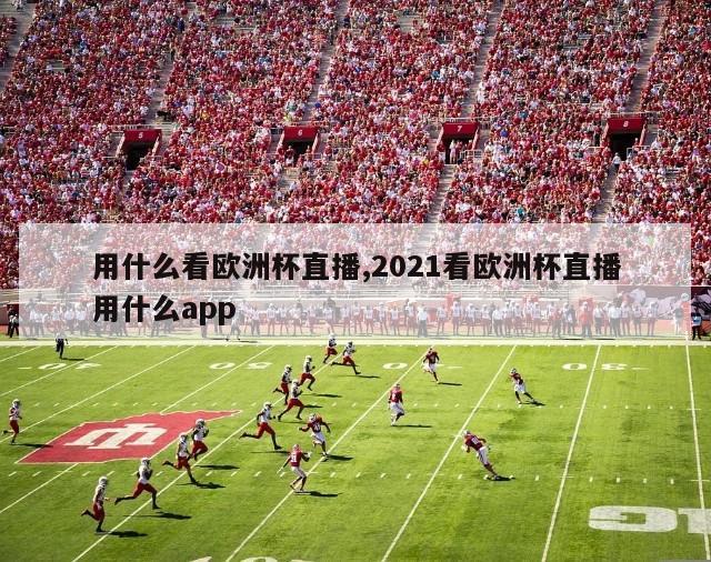 用什么看欧洲杯直播,2021看欧洲杯直播用什么app