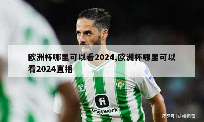 欧洲杯哪里可以看2024,欧洲杯哪里可以看2024直播