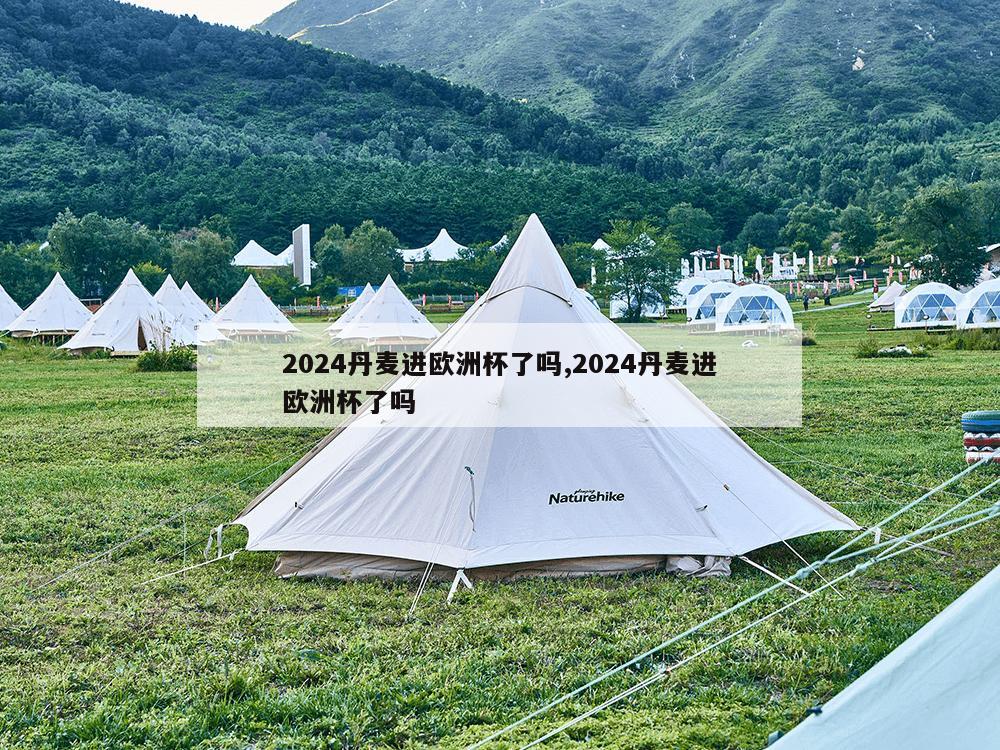 2024丹麦进欧洲杯了吗,2024丹麦进欧洲杯了吗