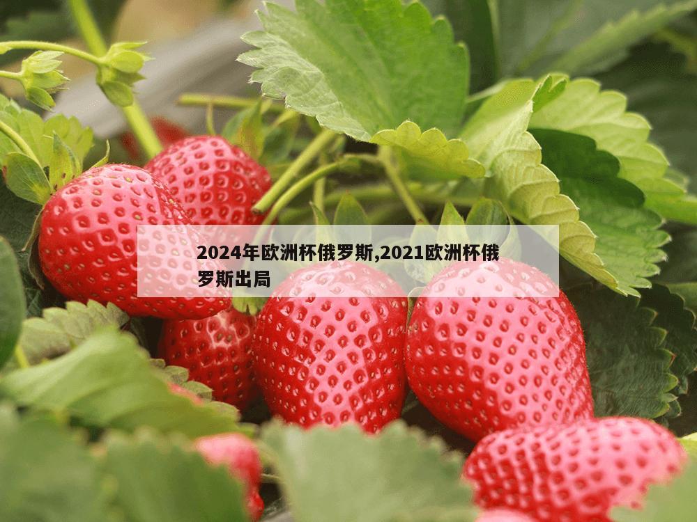 2024年欧洲杯俄罗斯,2021欧洲杯俄罗斯出局