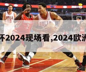 欧洲杯2024现场看,2024欧洲杯杯