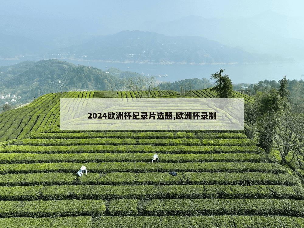 2024欧洲杯纪录片选题,欧洲杯录制