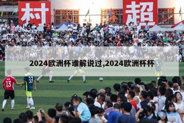 2024欧洲杯谁解说过,2024欧洲杯杯