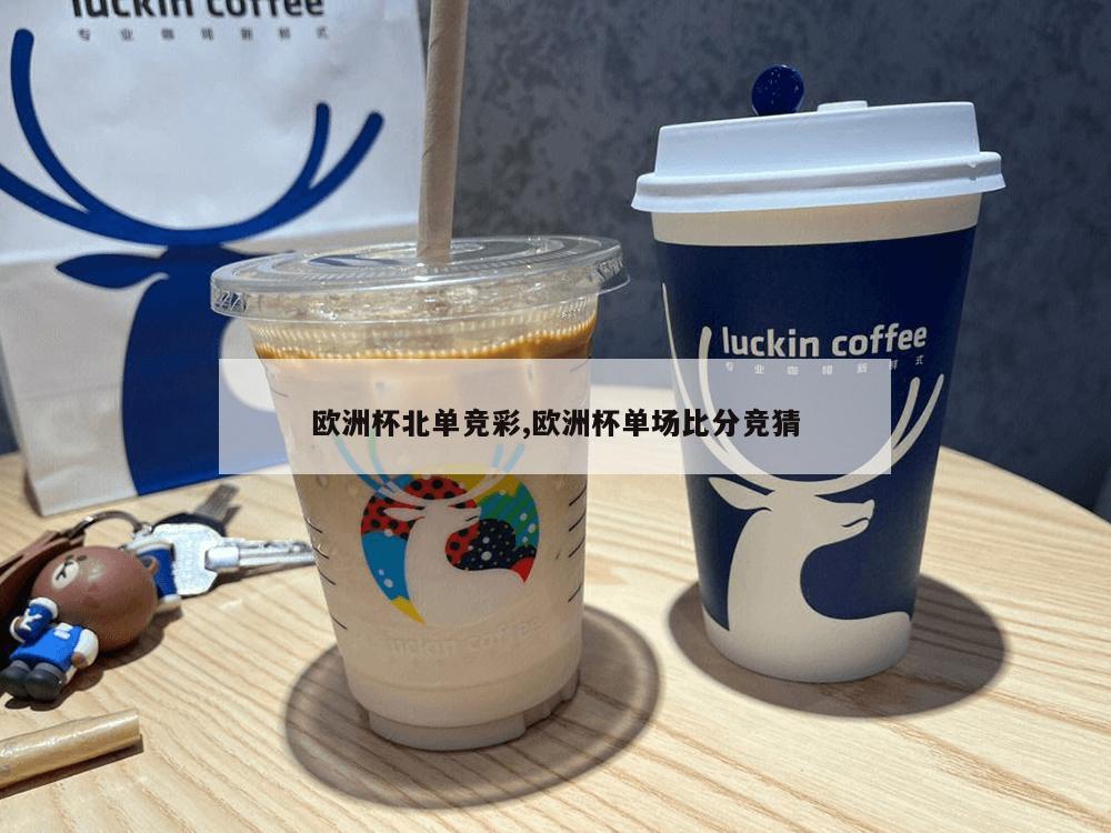 欧洲杯北单竞彩,欧洲杯单场比分竞猜