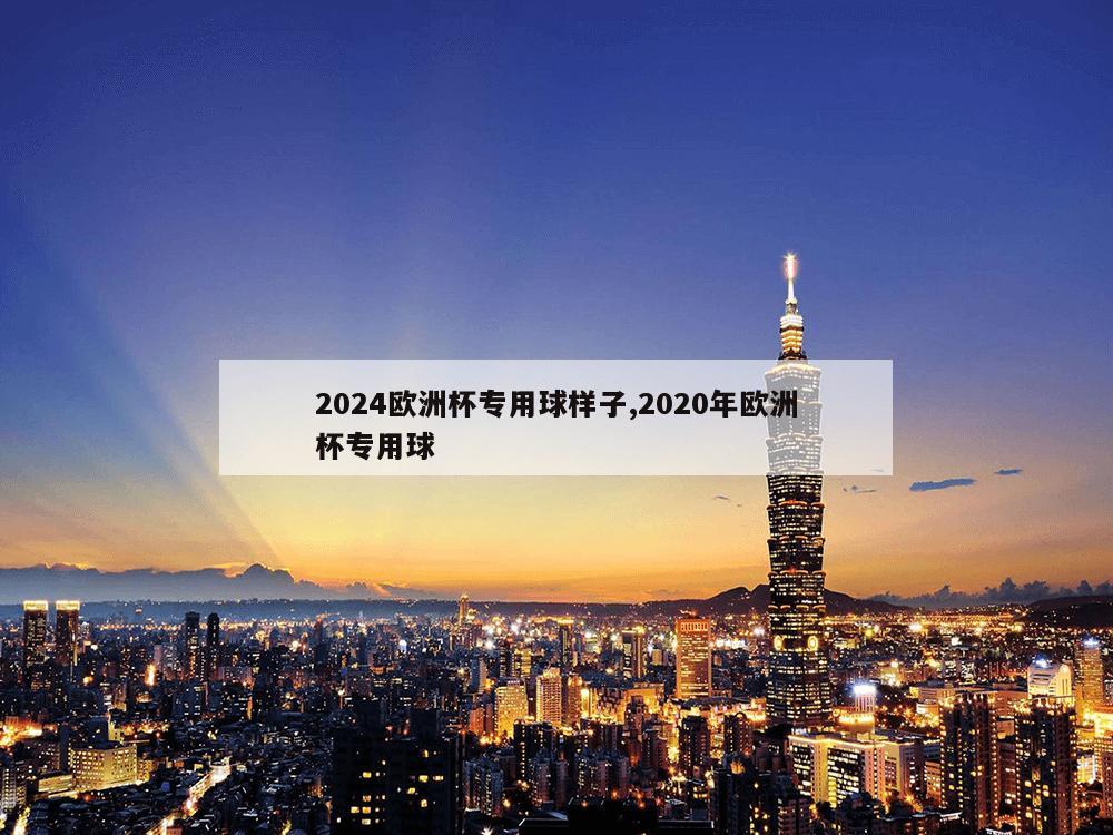 2024欧洲杯专用球样子,2020年欧洲杯专用球