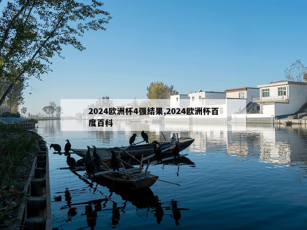 2024欧洲杯4强结果,2024欧洲杯百度百科