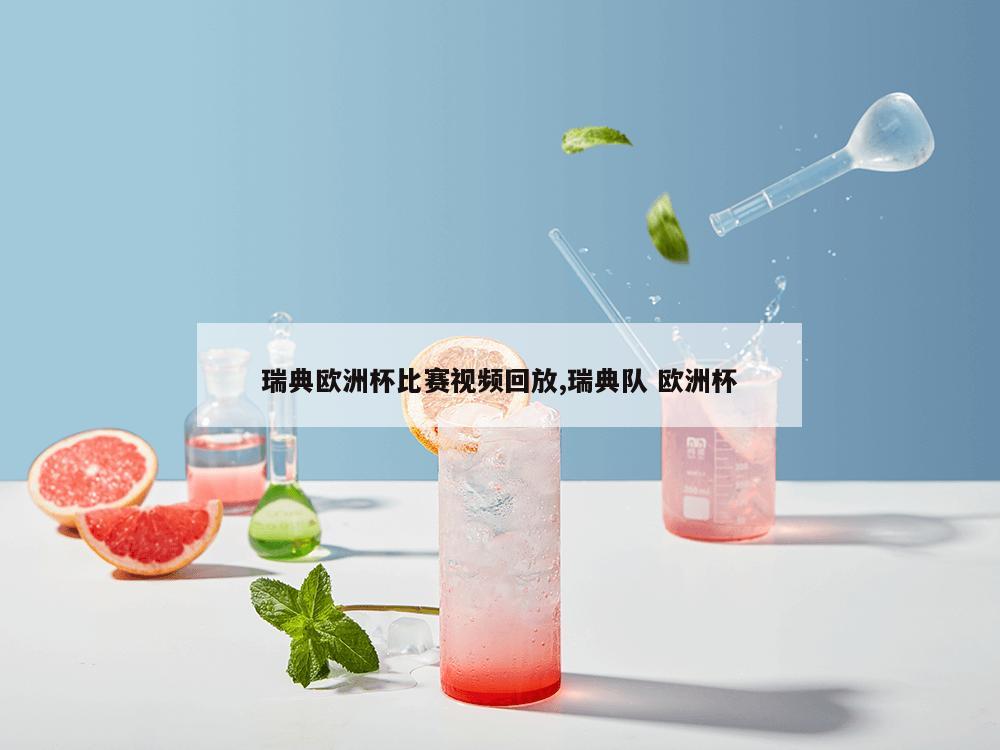 瑞典欧洲杯比赛视频回放,瑞典队 欧洲杯