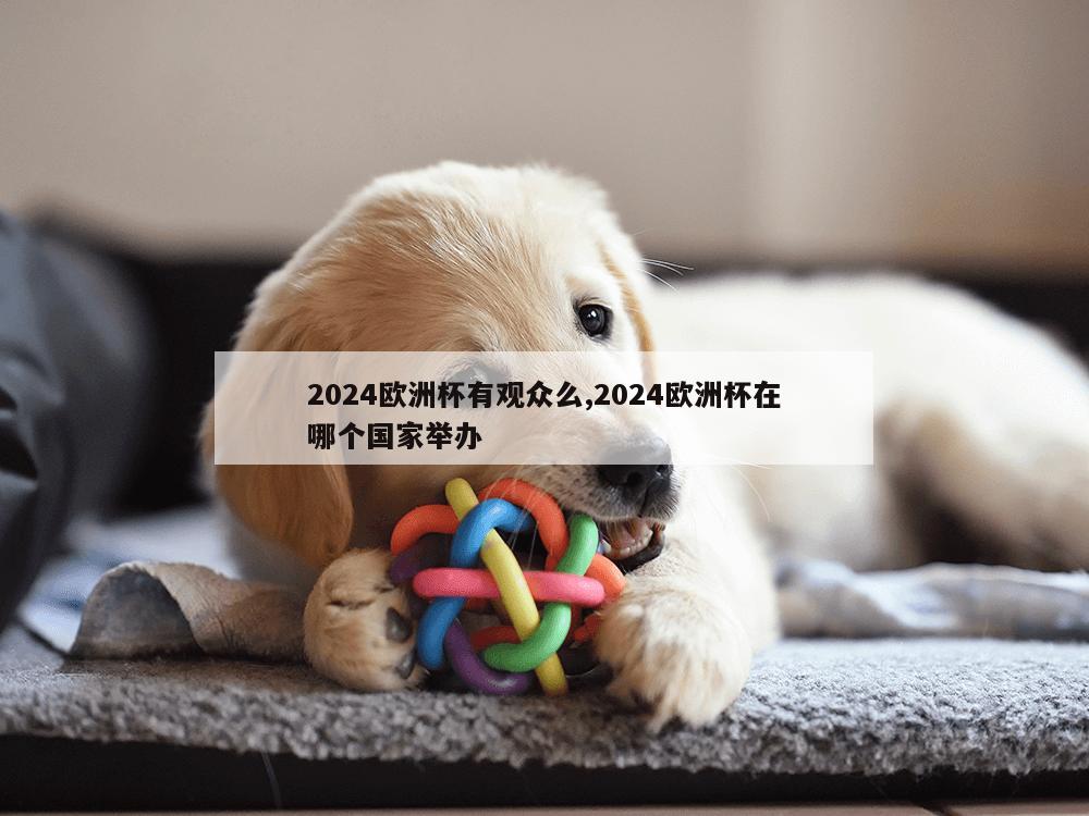 2024欧洲杯有观众么,2024欧洲杯在哪个国家举办