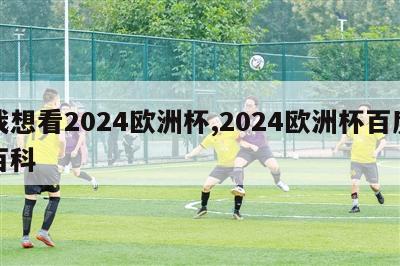 我想看2024欧洲杯,2024欧洲杯百度百科