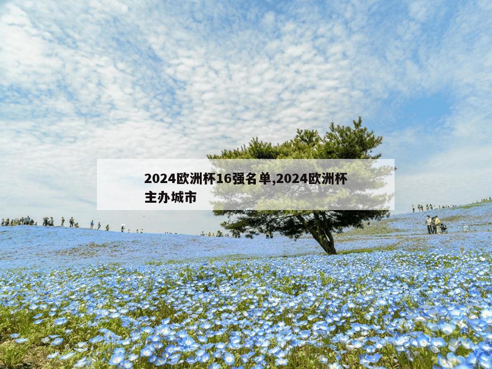 2024欧洲杯16强名单,2024欧洲杯主办城市