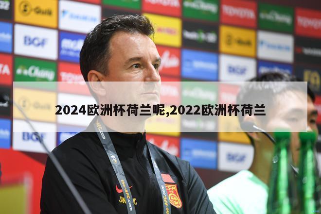 2024欧洲杯荷兰呢,2022欧洲杯荷兰