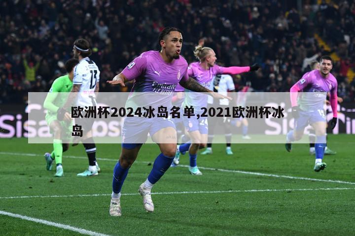 欧洲杯2024冰岛名单,2021欧洲杯冰岛