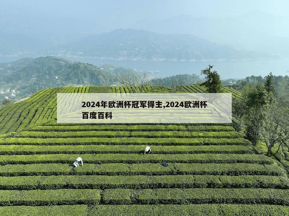 2024年欧洲杯冠军得主,2024欧洲杯百度百科