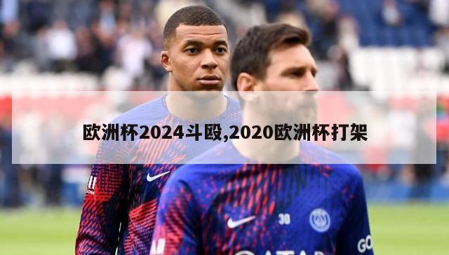 欧洲杯2024斗殴,2020欧洲杯打架