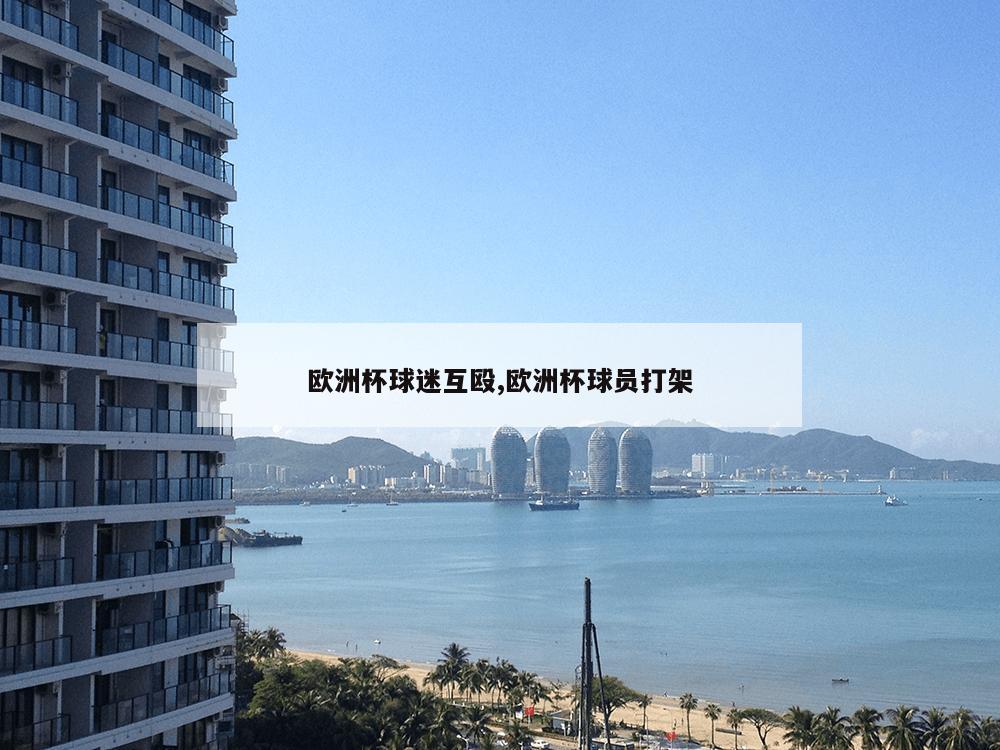 欧洲杯球迷互殴,欧洲杯球员打架