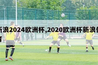 新浪2024欧洲杯,2020欧洲杯新浪体育